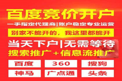 某大型企业选择SEM竞价代运营公司的决策过程与效果评估